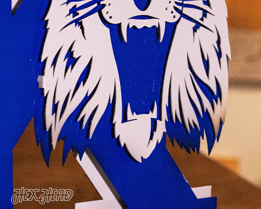 Kentucky Wildcats OUT of the VAULT, Vintage 70's Power K 3D Metal Wall Art - Image 14